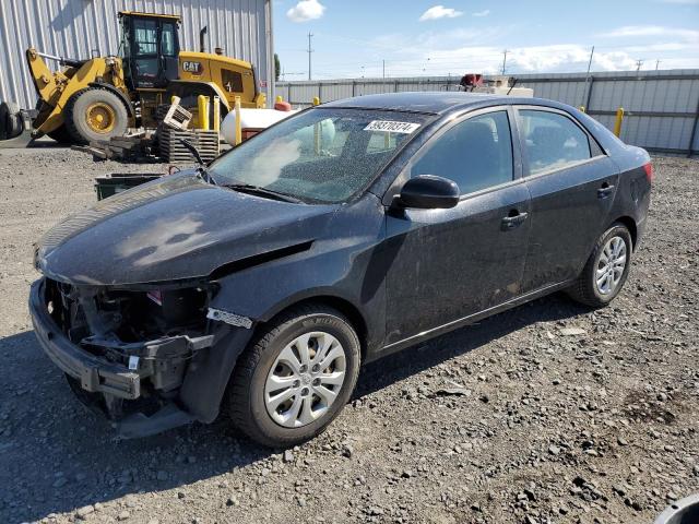 KIA FORTE 2011 knafu4a25b5377271