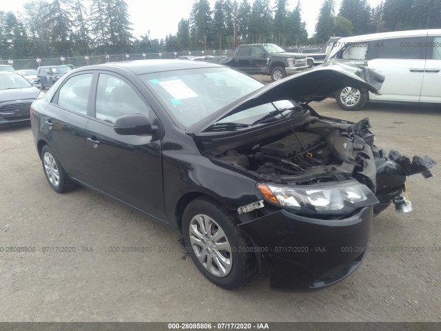 KIA FORTE 2011 knafu4a25b5394412