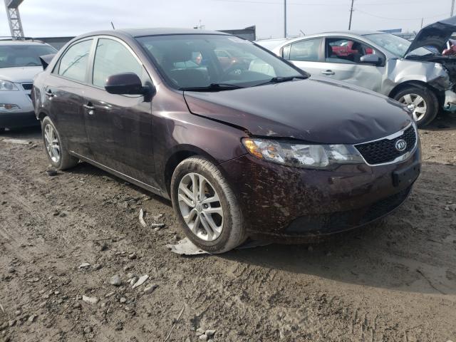 KIA FORTE EX 2011 knafu4a25b5403514