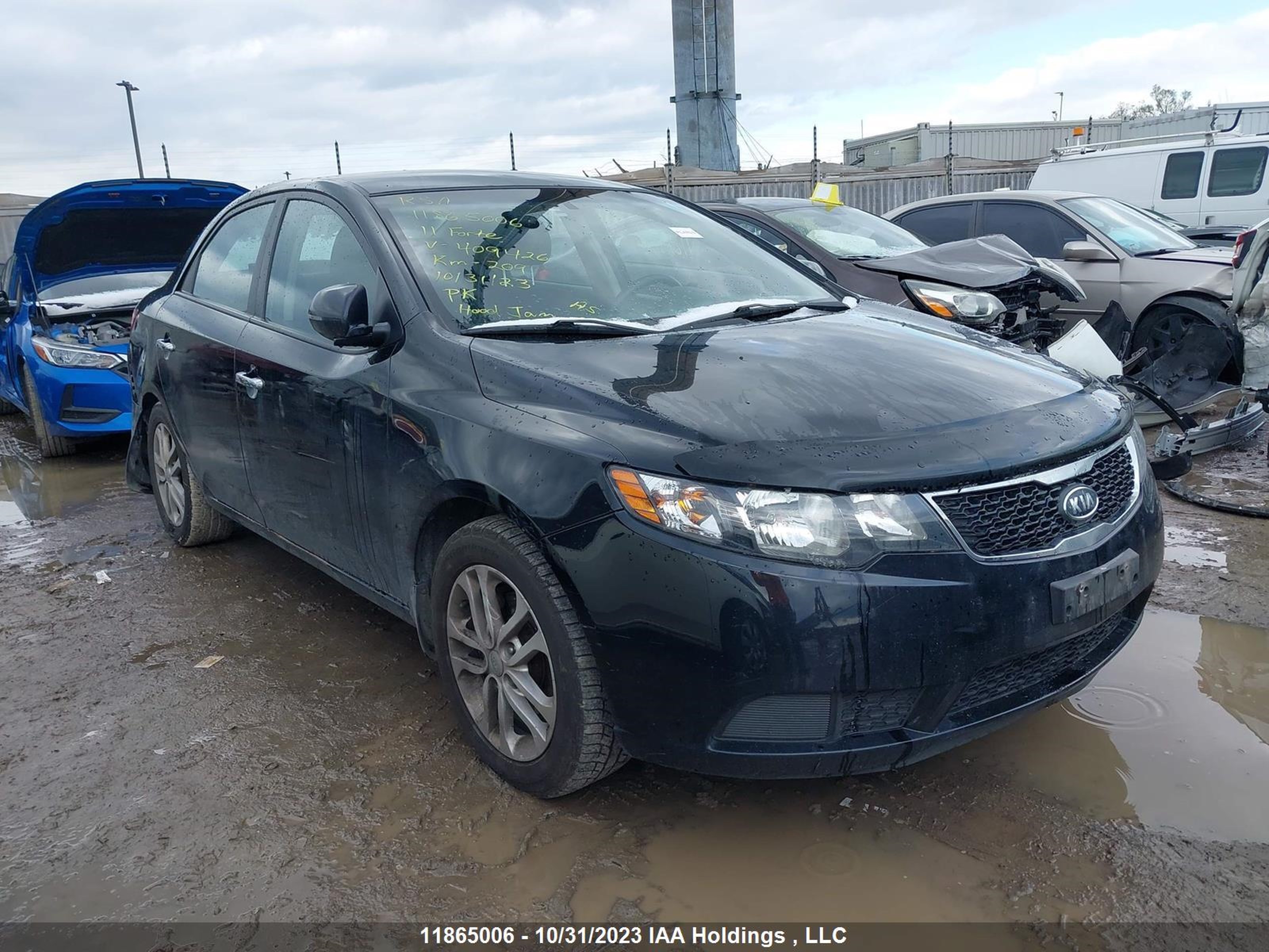 KIA FORTE 2011 knafu4a25b5409426