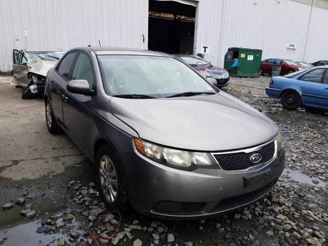 KIA FORTE EX 2011 knafu4a25b5434214