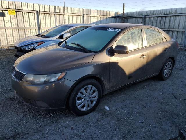 KIA FORTE 2011 knafu4a25b5450249