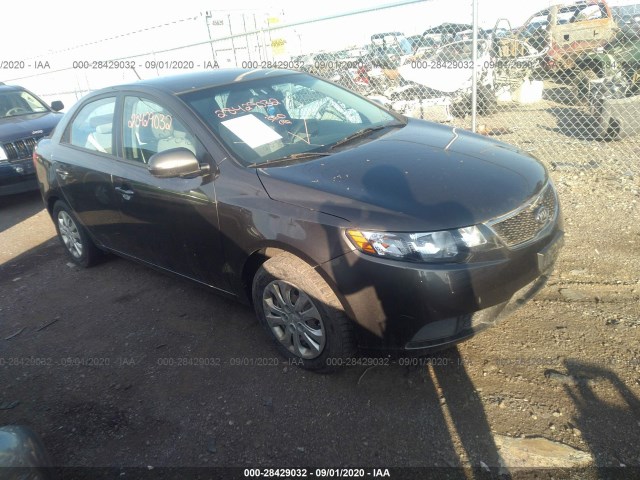 KIA FORTE 2011 knafu4a25b5450803