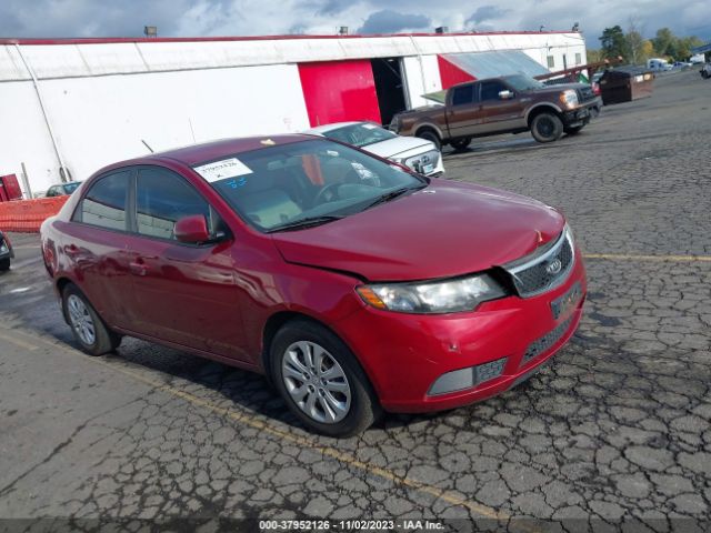 KIA FORTE 2012 knafu4a25c5490851