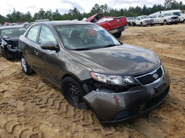 KIA FORTE 2012 knafu4a25c5495483