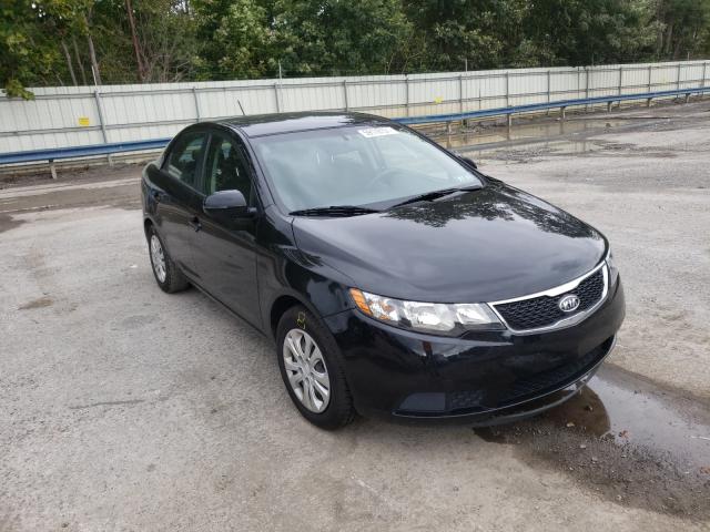 KIA FORTE EX 2012 knafu4a25c5504053