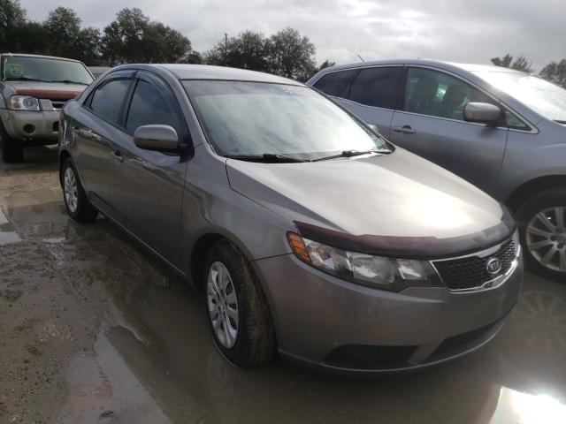 KIA FORTE EX 2012 knafu4a25c5555729