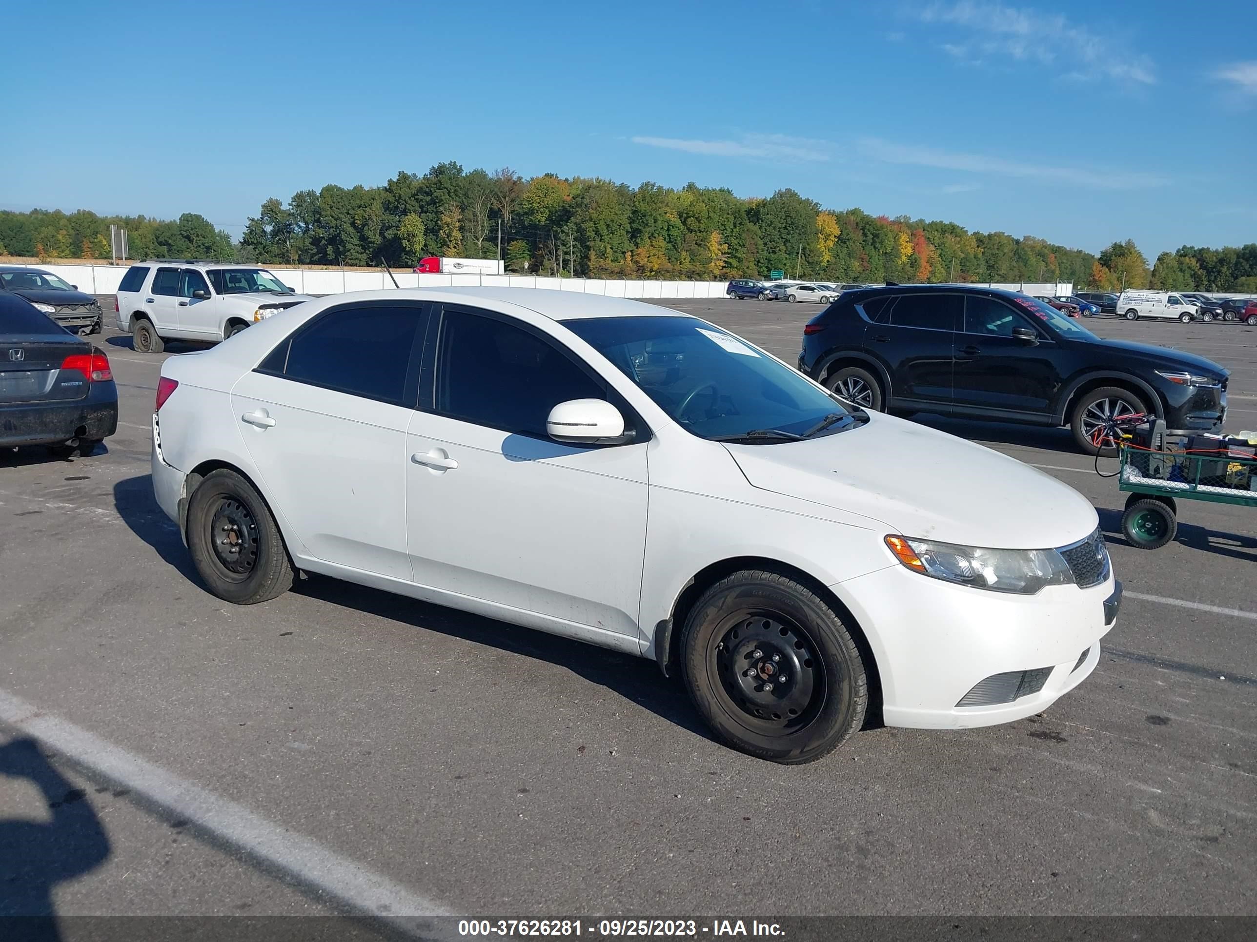 KIA FORTE 2012 knafu4a25c5597446