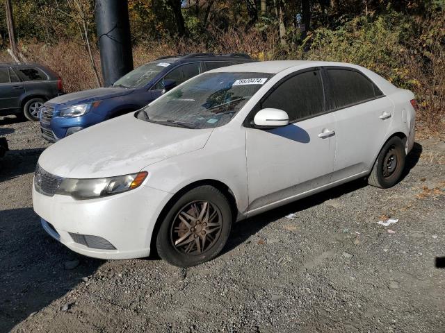 KIA FORTE EX 2012 knafu4a25c5644197