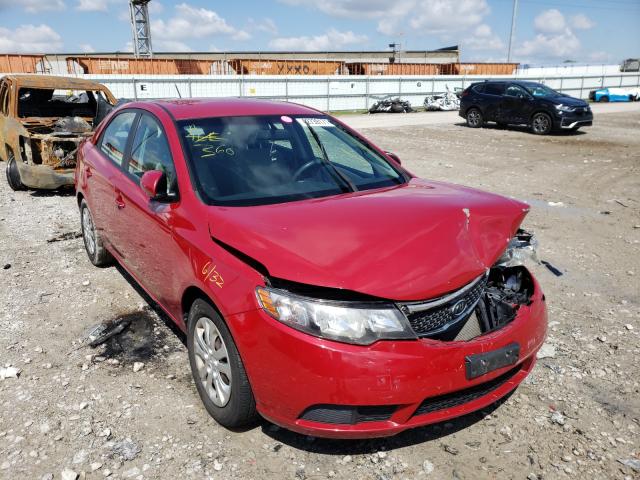 KIA FORTE EX 2013 knafu4a25d5646680