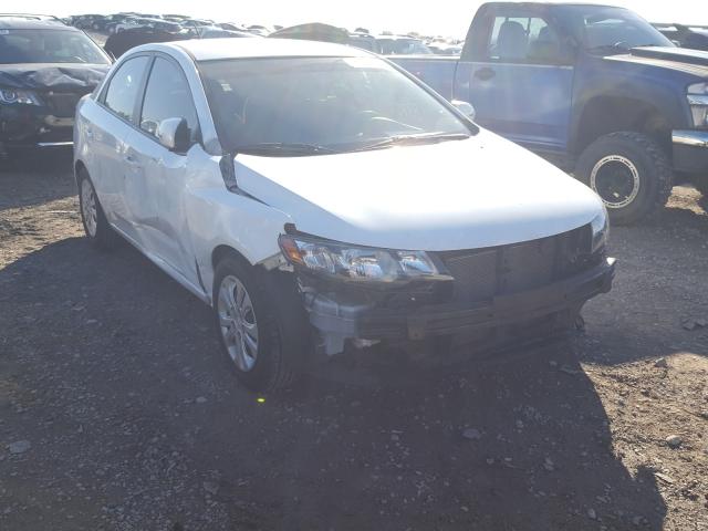 KIA FORTE EX 2013 knafu4a25d5704240