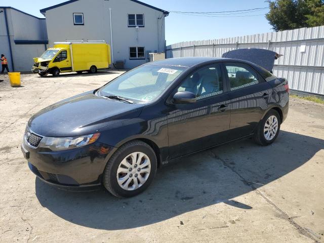 KIA FORTE 2013 knafu4a25d5713214