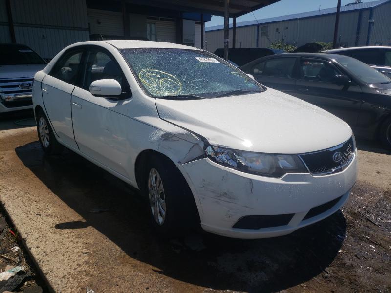 KIA FORTE EX 2010 knafu4a26a5048433