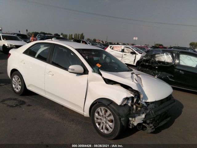 KIA FORTE 2010 knafu4a26a5049906