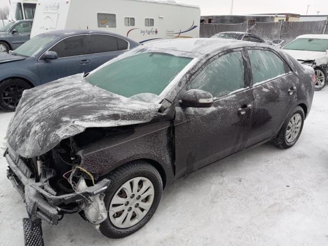 KIA FORTE EX 2010 knafu4a26a5056063