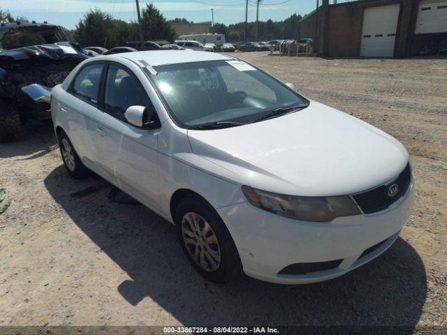 KIA FORTE 2010 knafu4a26a5058458