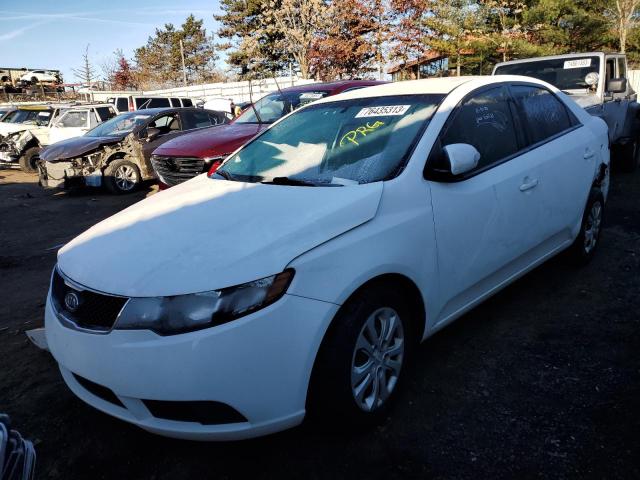 KIA FORTE 2010 knafu4a26a5060243