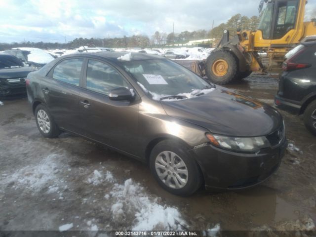 KIA FORTE 2010 knafu4a26a5061439