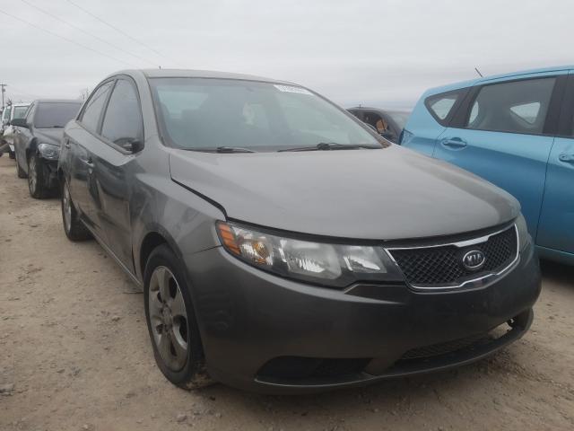 KIA FORTE EX 2010 knafu4a26a5061814