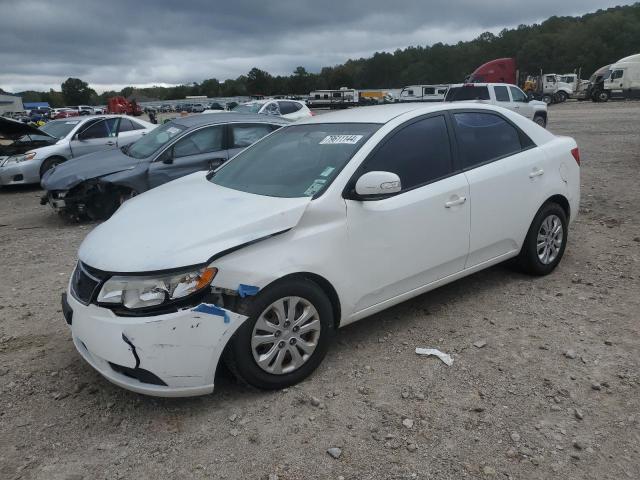 KIA FORTE 2010 knafu4a26a5063627