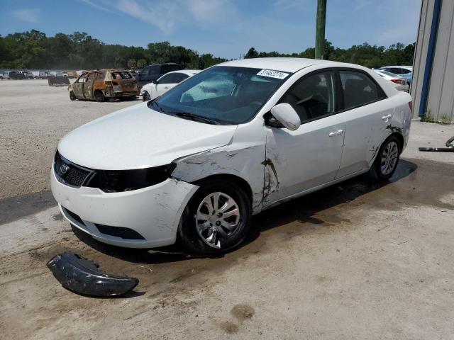 KIA FORTE 2010 knafu4a26a5068407