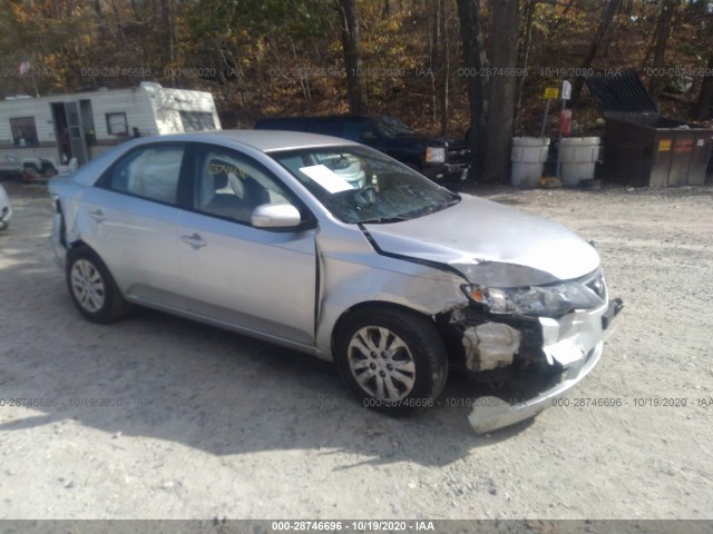 KIA FORTE 2010 knafu4a26a5081223