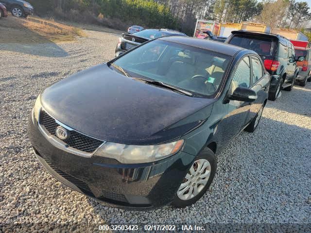 KIA FORTE 2010 knafu4a26a5086518