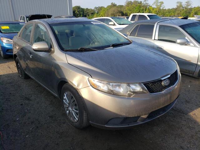 KIA FORTE EX 2010 knafu4a26a5086681