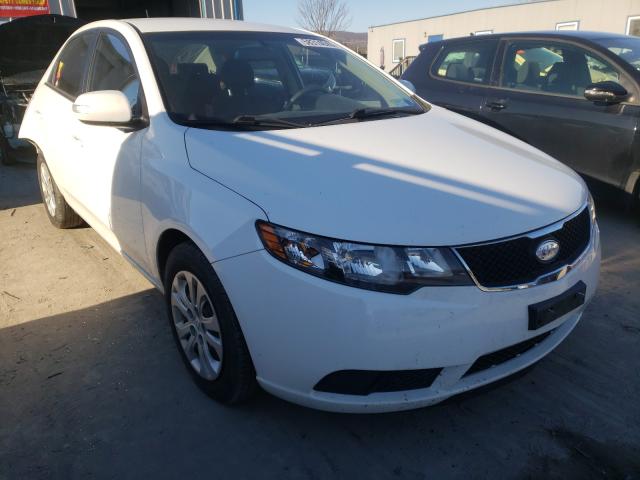 KIA FORTE EX 2010 knafu4a26a5095591