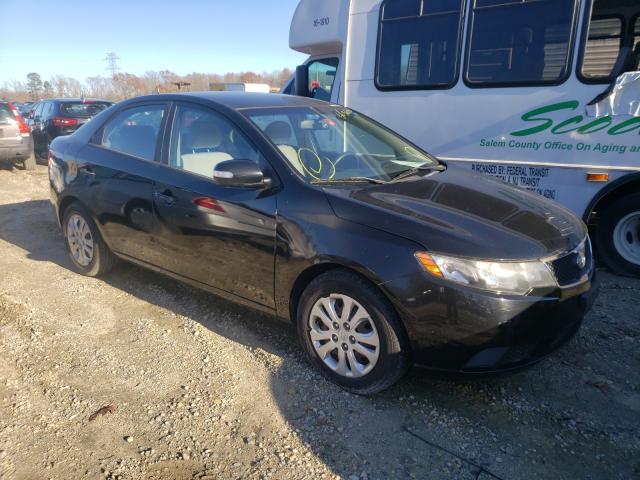 KIA FORTE EX 2010 knafu4a26a5105343