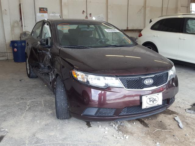 KIA FORTE EX 2010 knafu4a26a5106427