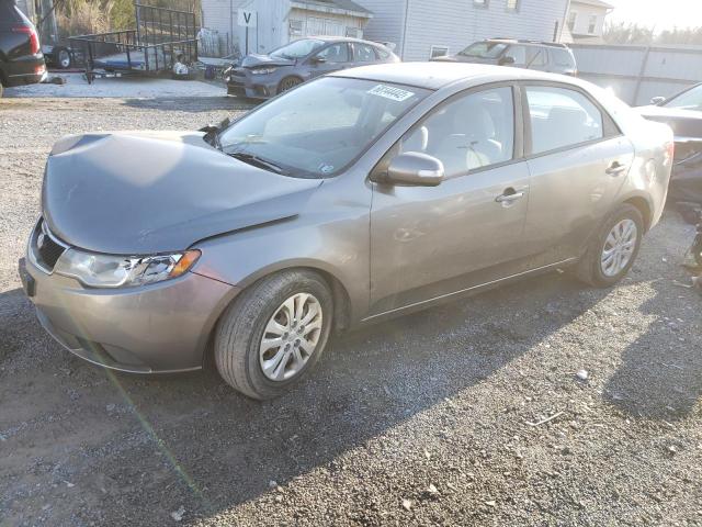 KIA FORTE EX 2010 knafu4a26a5108016