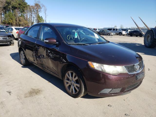 KIA FORTE EX 2010 knafu4a26a5109554