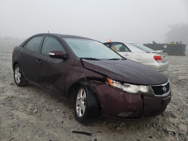 KIA FORTE EX 2010 knafu4a26a5109585