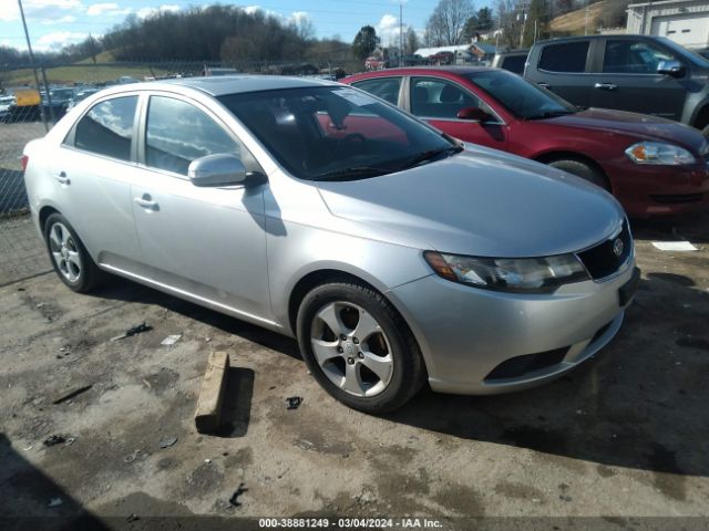 KIA FORTE 2010 knafu4a26a5109862