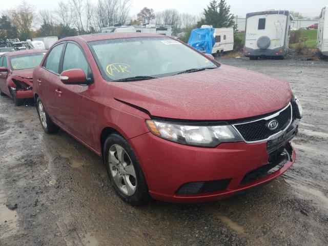 KIA FORTE EX 2010 knafu4a26a5110445