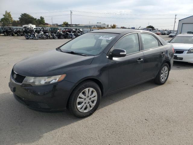 KIA FORTE 2010 knafu4a26a5111871