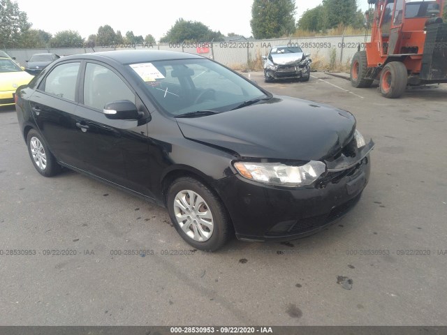 KIA FORTE 2010 knafu4a26a5127505