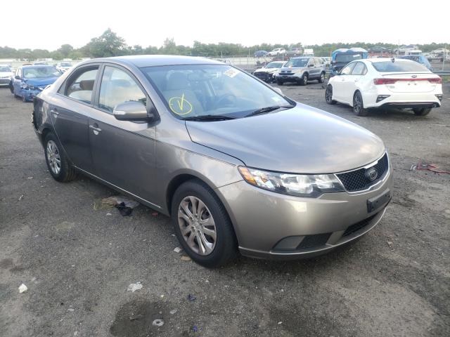 KIA FORTE EX 2010 knafu4a26a5132543