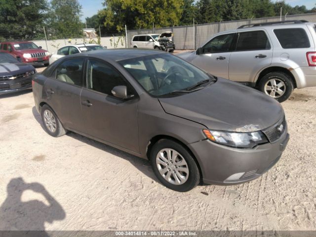 KIA FORTE 2010 knafu4a26a5158091