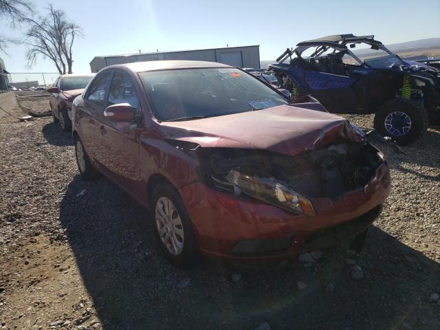 KIA FORTE EX 2010 knafu4a26a5165526