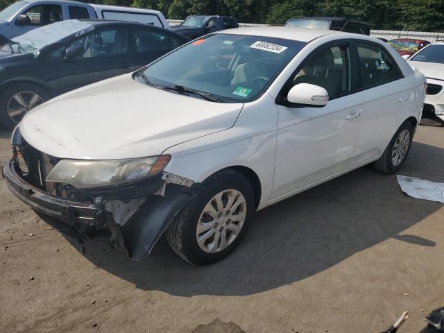 KIA FORTE EX 2010 knafu4a26a5175263