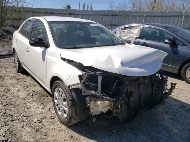 KIA FORTE EX 2010 knafu4a26a5175554