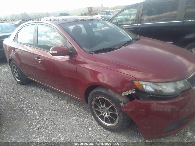 KIA FORTE 2010 knafu4a26a5180303