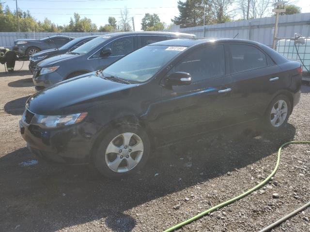 KIA FORTE EX 2010 knafu4a26a5180978