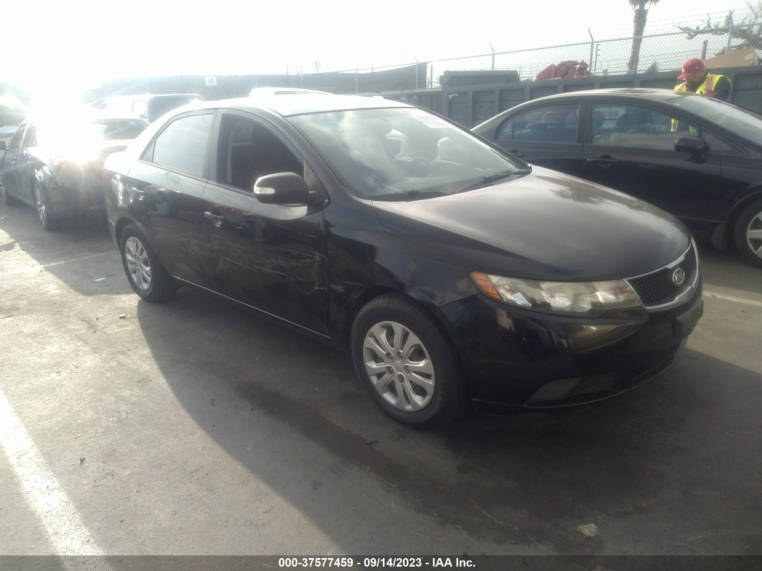 KIA FORTE 2010 knafu4a26a5182441