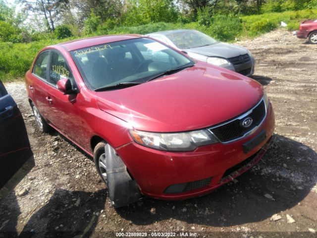 KIA FORTE 2010 knafu4a26a5189079