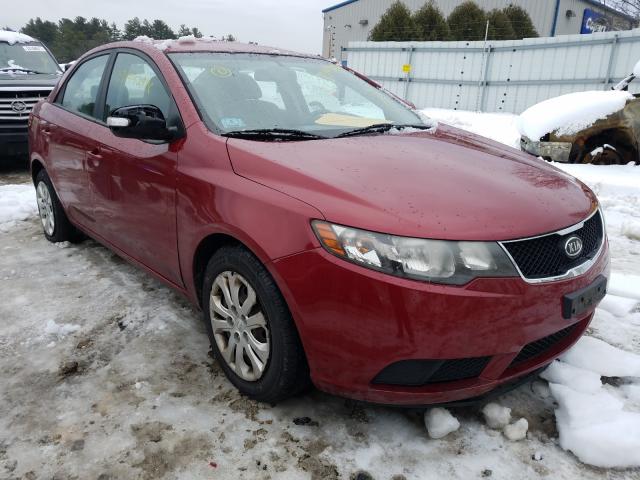 KIA FORTE EX 2010 knafu4a26a5189082