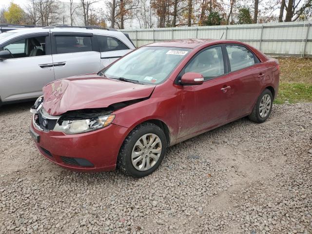 KIA FORTE EX 2010 knafu4a26a5193326