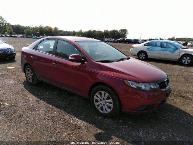 KIA FORTE 2010 knafu4a26a5199515